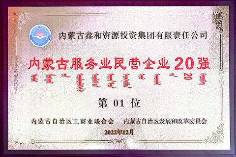 2022年內(nèi)蒙古服務(wù)業(yè)民營企業(yè)20強第1位